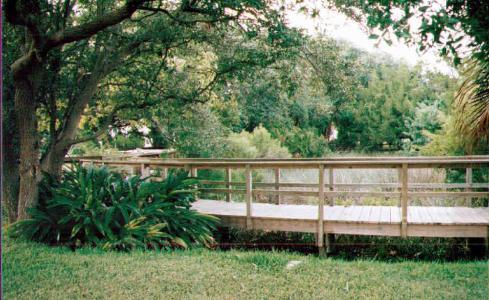 Sunrise park nature walt