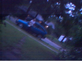 Standing under the tree